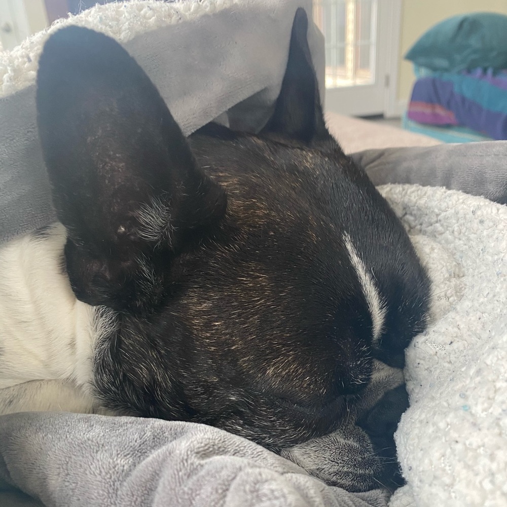 Meet your Posher, Linda